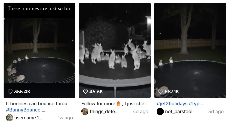 AI bunnies bouncing on trampoline